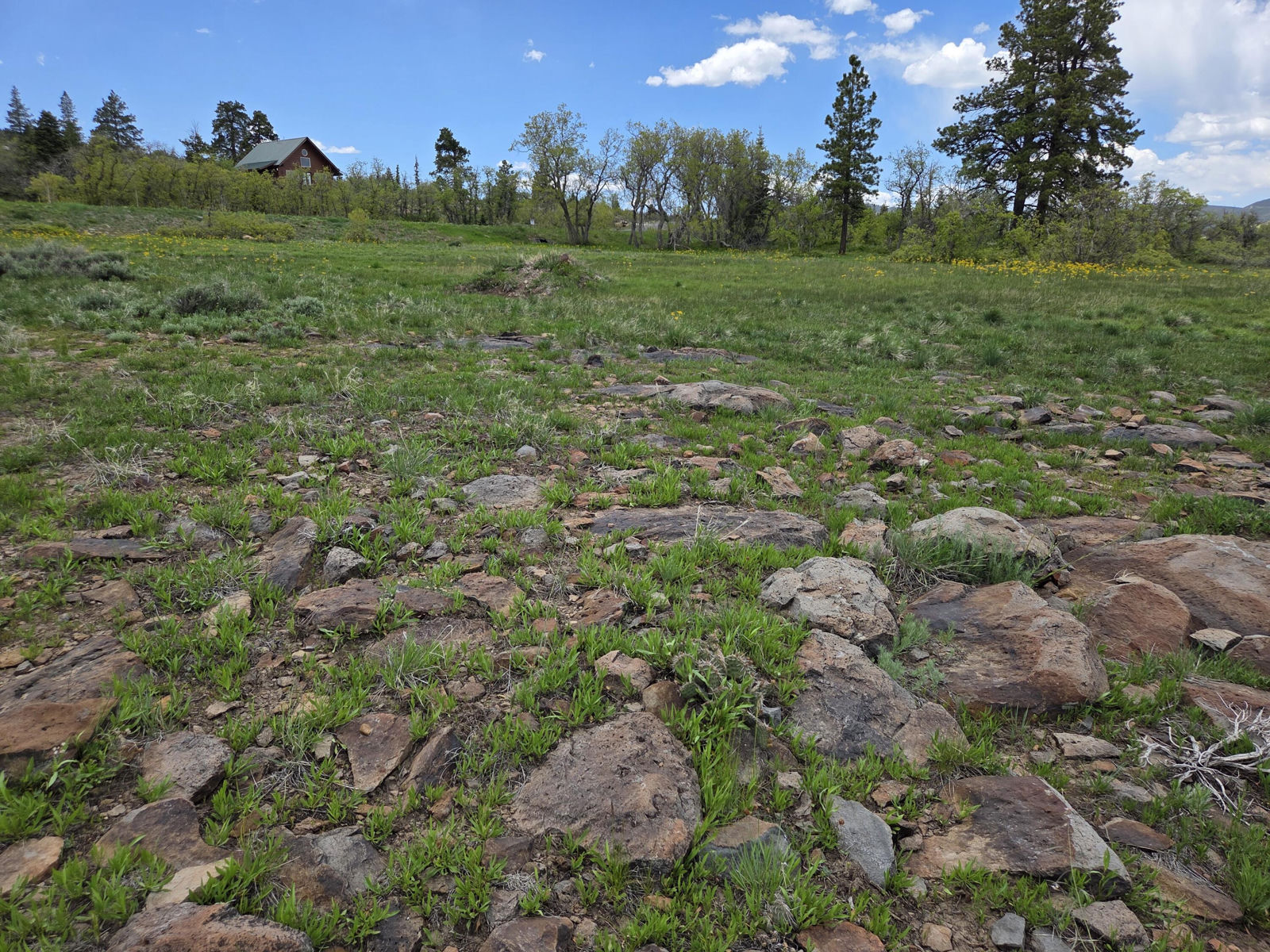 Lot 10 Spring DR, Virgin, photo 7 of 15