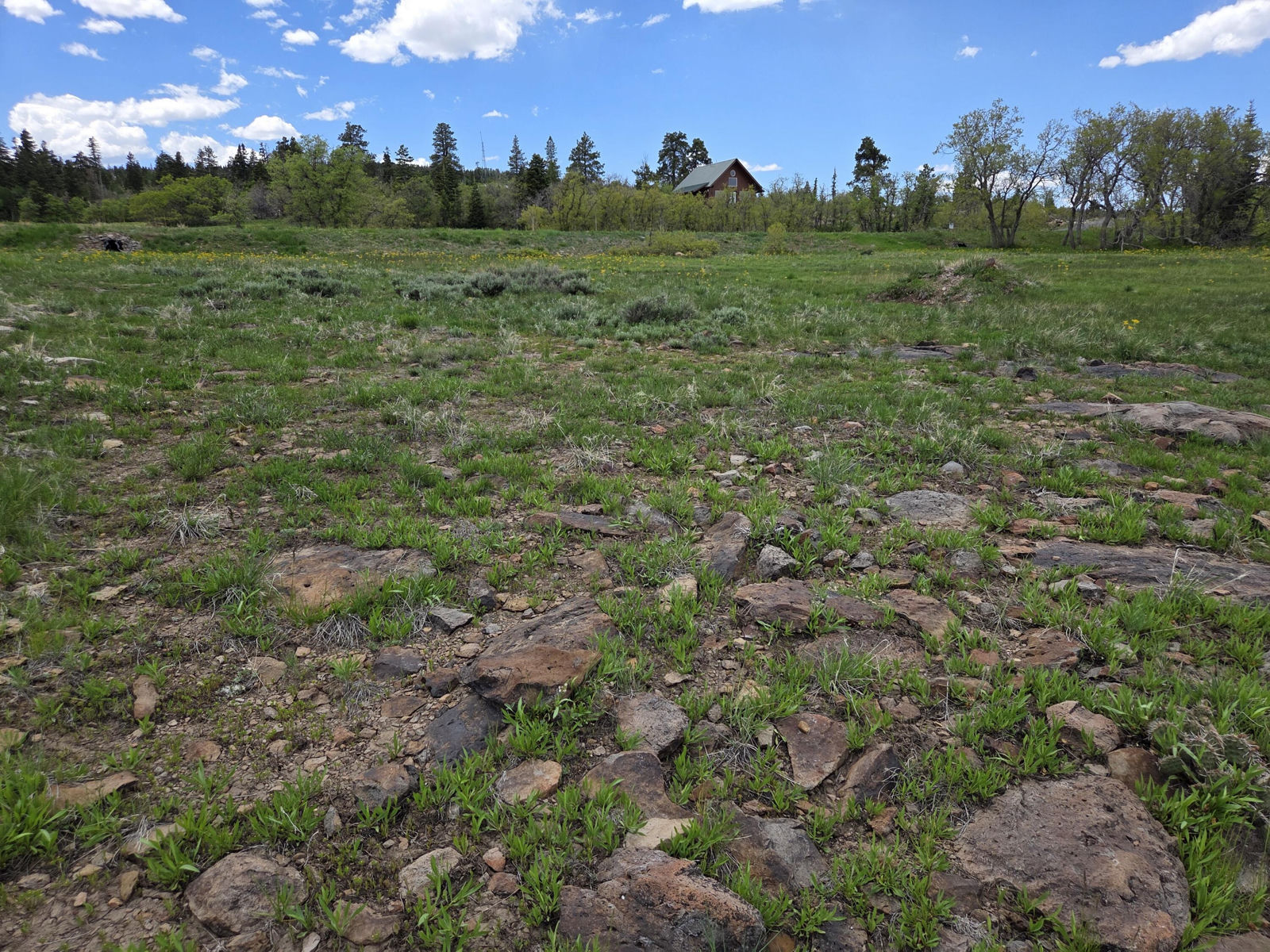 Lot 10 Spring DR, Virgin, photo 8 of 15