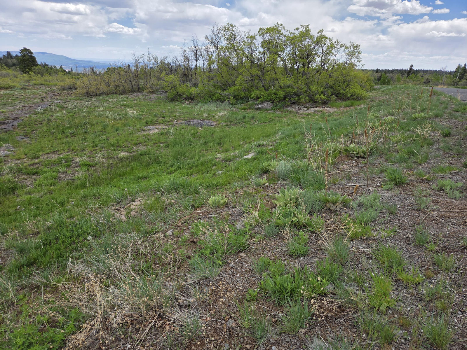 Lot 10 Spring DR, Virgin, photo 11 of 15