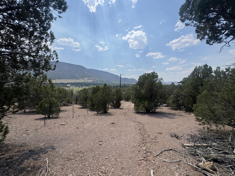 4198 S Artifact DR, Cedar City
