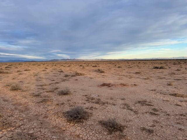 40acres #E-0721-0000-0000, Beryl, photo 6 of 22