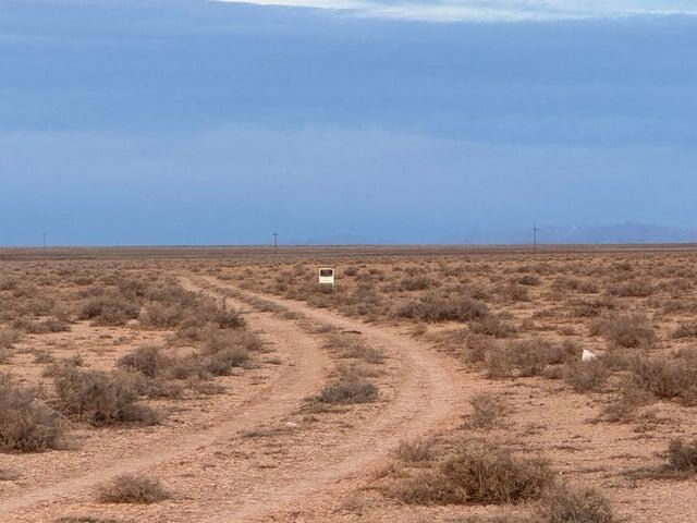 40acres #E-0721-0000-0000, Beryl, photo 14 of 22