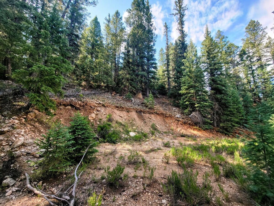 770 N Skyline View DR, Duck Creek Village