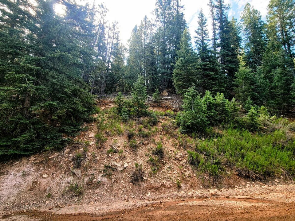 770 N Skyline View DR, Duck Creek Village, photo 2