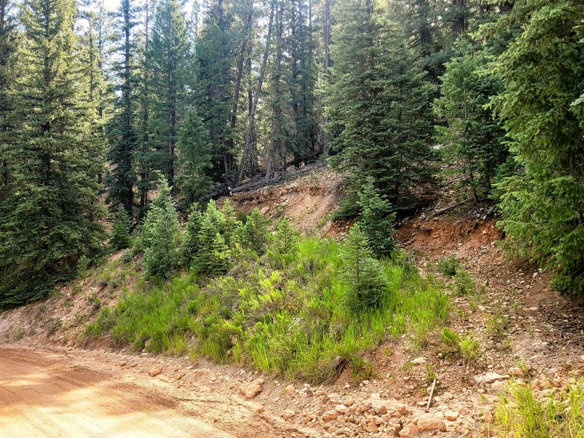 770 N Skyline View DR, Duck Creek Village, photo 4 of 12