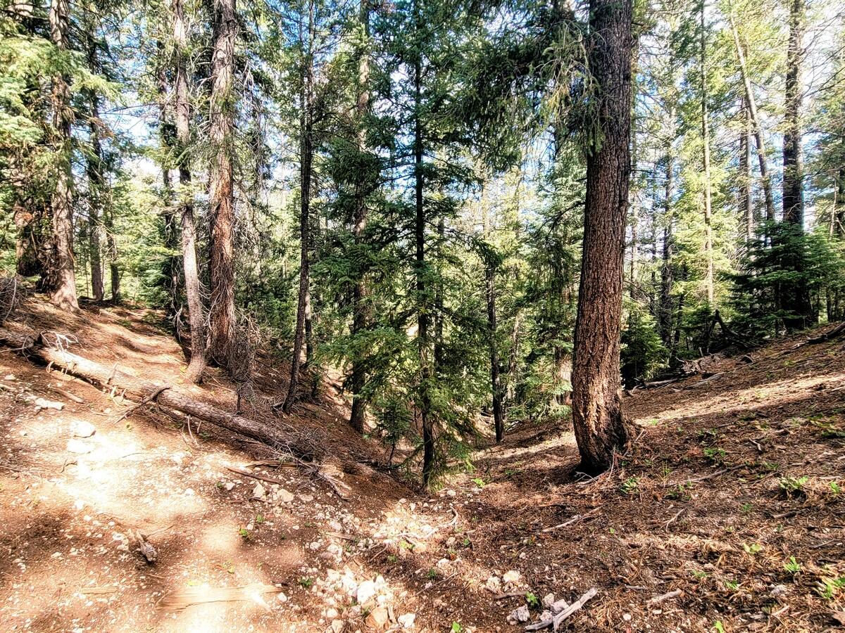 770 N Skyline View DR, Duck Creek Village, photo 9 of 12