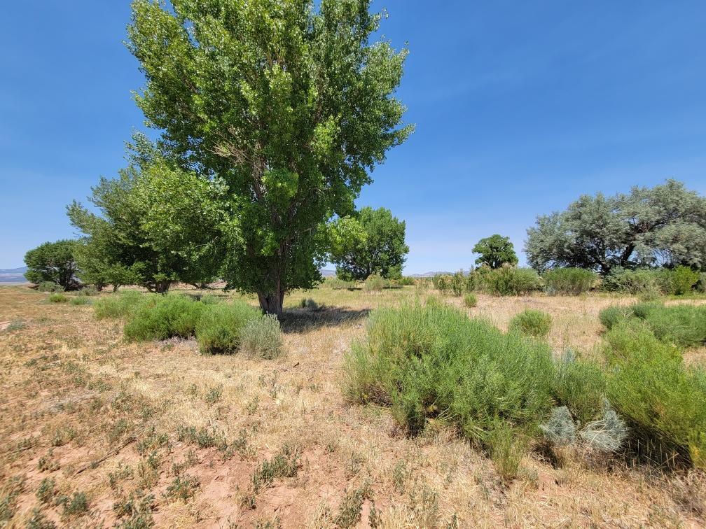 2582 S Westview DR, 194 Acres 165 AF Water, Cedar City, photo 8 of 36