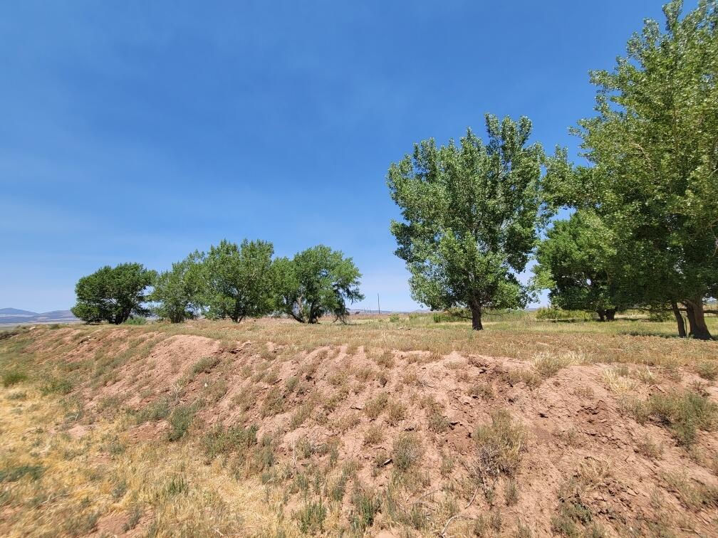 2582 S Westview DR, 194 Acres 165 AF Water, Cedar City, photo 7 of 36