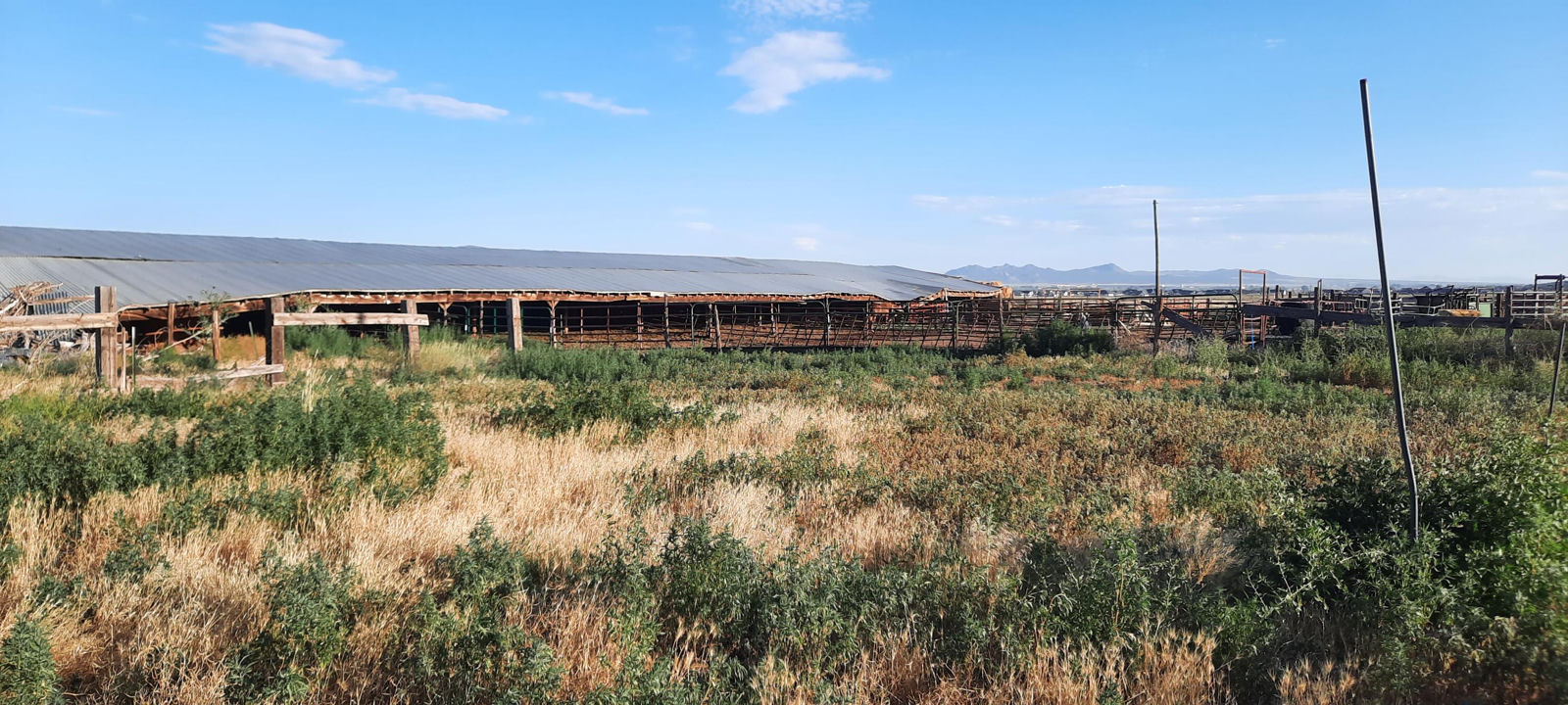 2582 S Westview DR, 194 Acres 165 AF Water, Cedar City, photo 14 of 36
