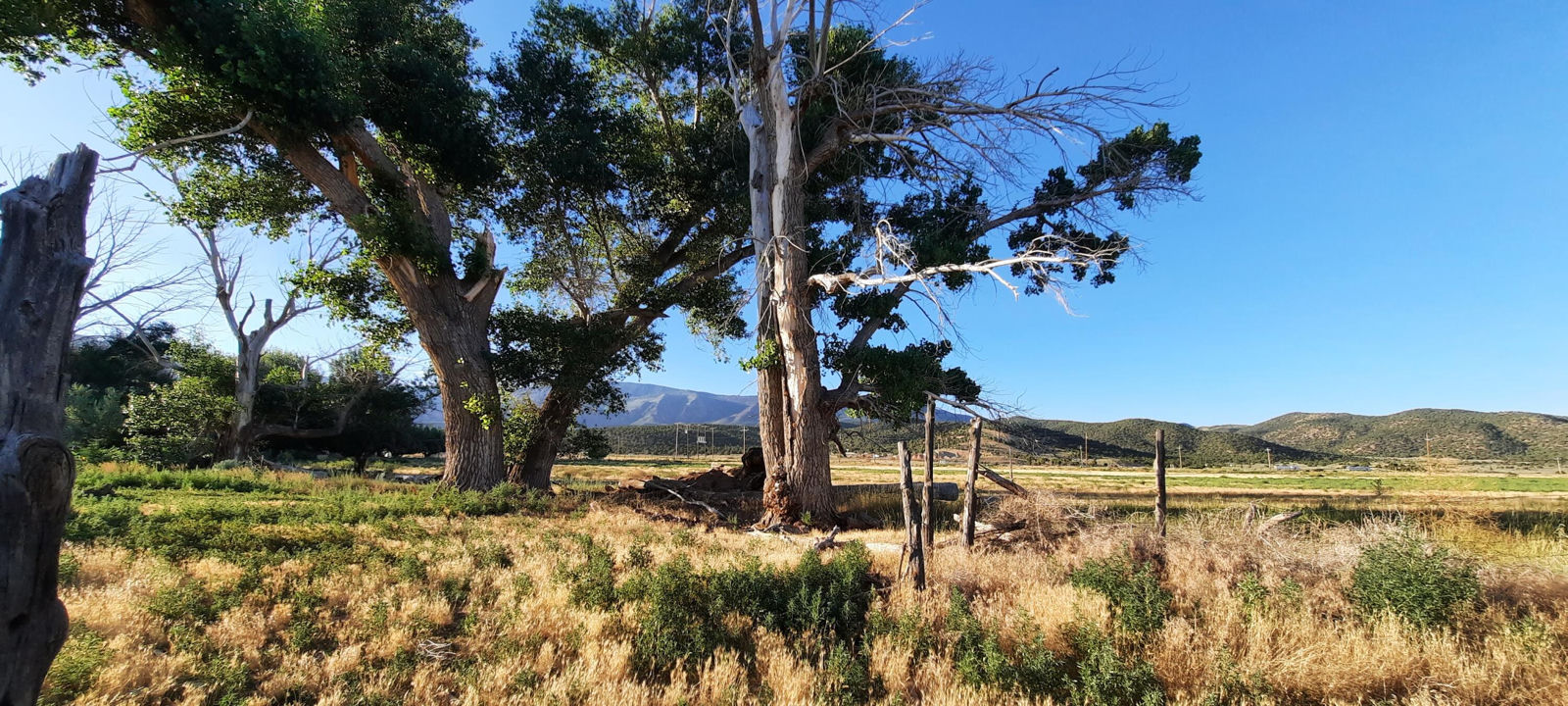2582 S Westview DR, 194 Acres 165 AF Water, Cedar City, photo 19 of 36