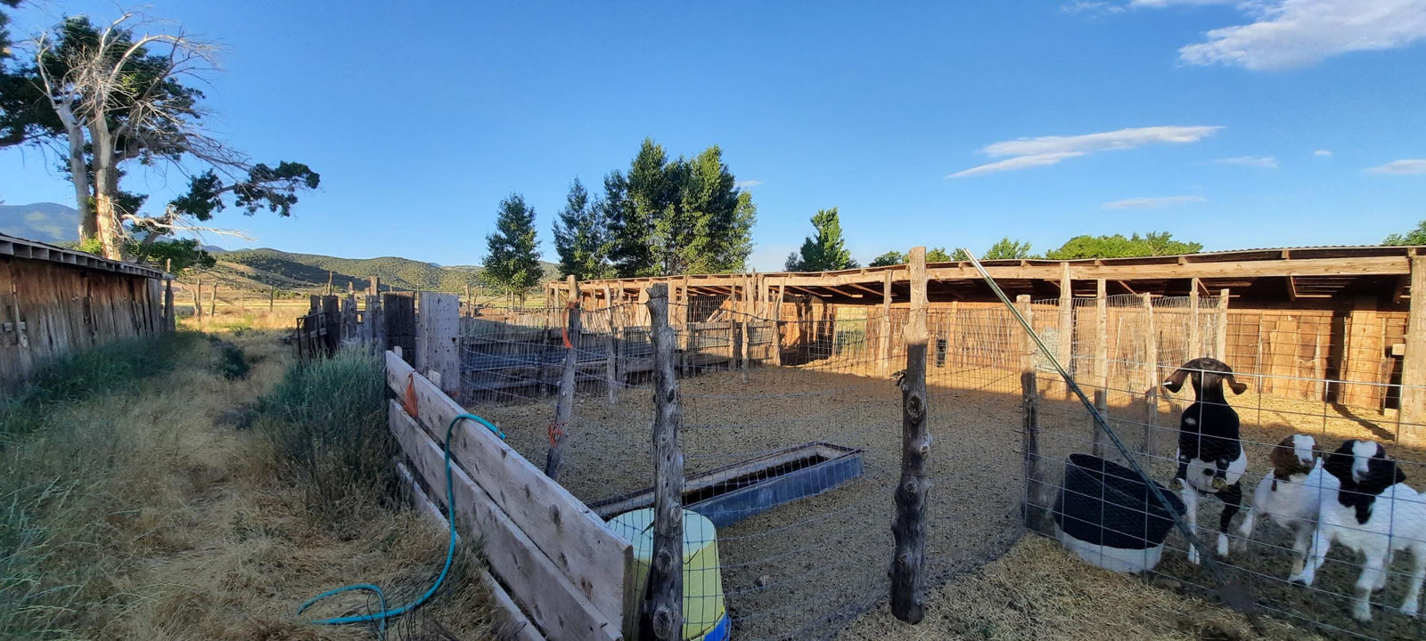 2582 S Westview DR, 194 Acres 165 AF Water, Cedar City, photo 23 of 36