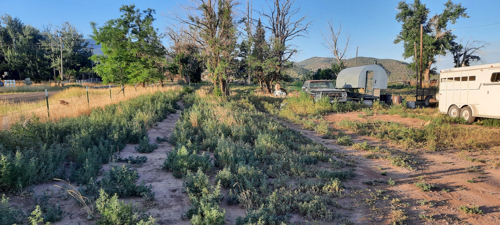 2582 S Westview DR, 194 Acres 165 AF Water, Cedar City, photo 28 of 36