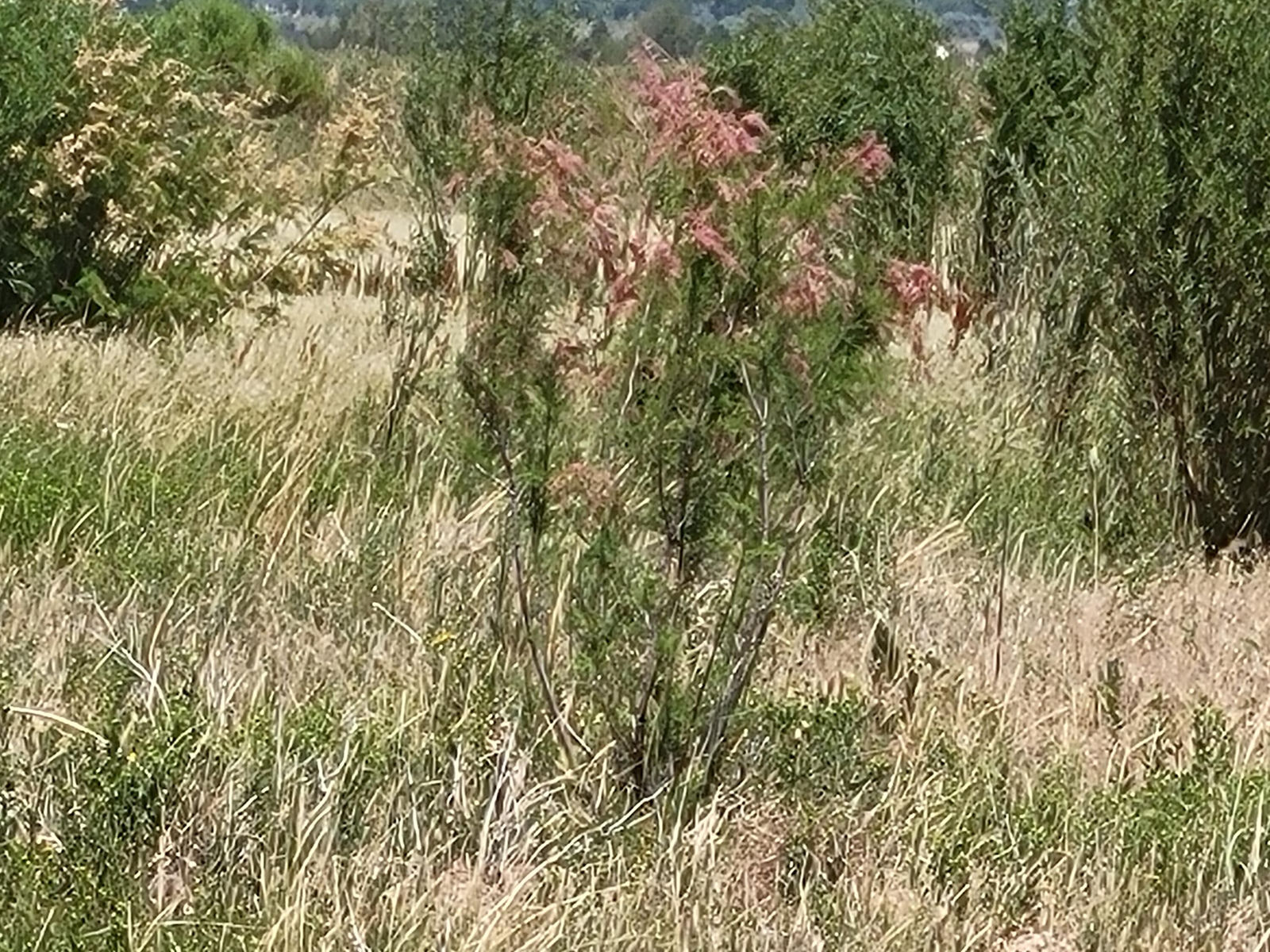 2582 S Westview DR, 194 Acres 165 AF Water, Cedar City, photo 5 of 36