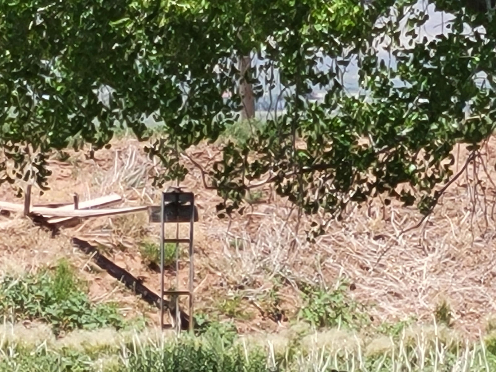 2582 S Westview DR, 194 Acres 165 AF Water, Cedar City, photo 4 of 36