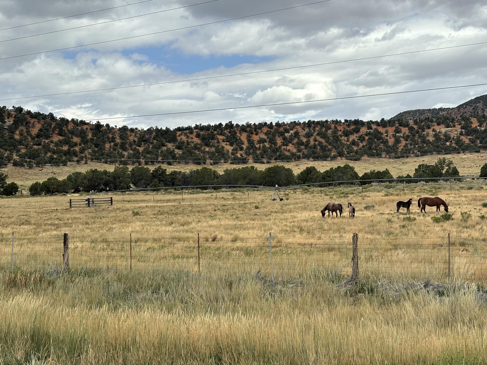 50.63 Acres HWY 56, Cedar City, photo 4 of 26