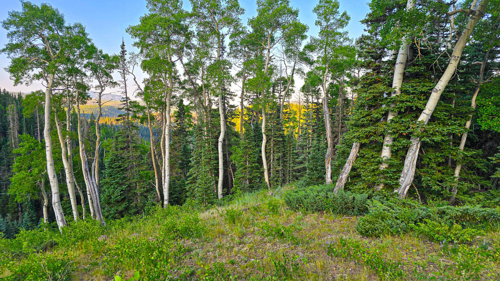 West Village Lot 28, Beaver, photo 9 of 27