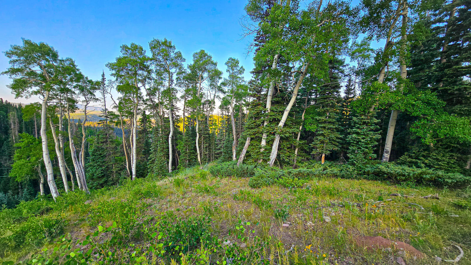 West Village Lot 28, Beaver, photo 2 of 27