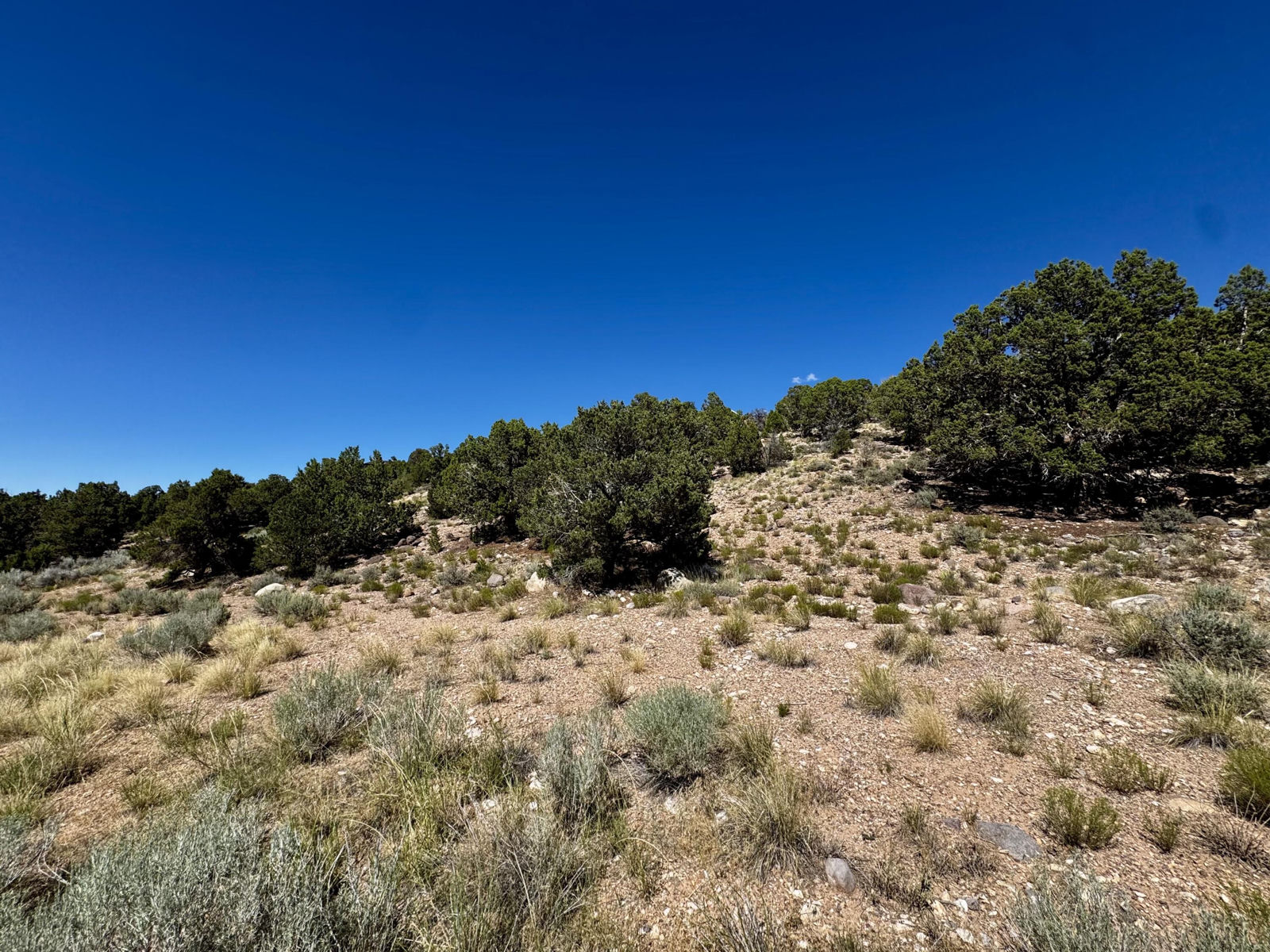 1085 S Canyon DR, Cedar City, photo 22 of 23