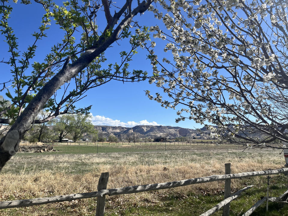 585 S Center Street, Escalante, photo 2