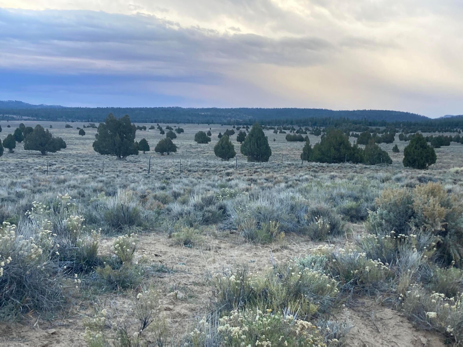 Parcel 15-0075-0240, Bryce Canyon, photo 2 of 5