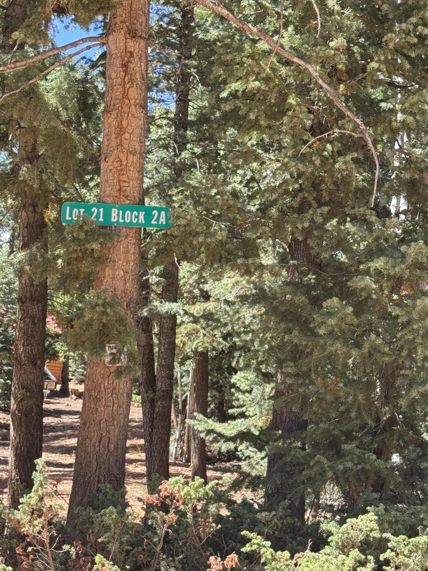 3465 Ute LN, Duck Creek Village, photo 48 of 48