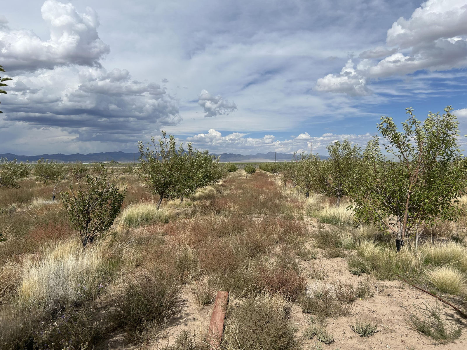 19.6 Acres Beryl with Water & Electric, Beryl, photo 9 of 30