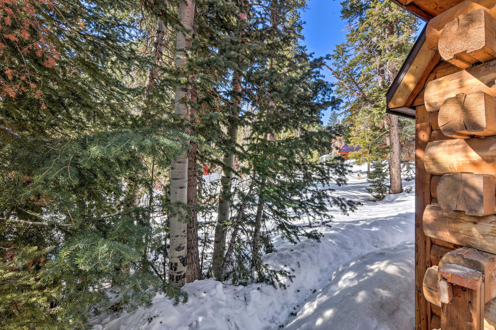 3465 Ute LN, Duck Creek Village, photo 41 of 48