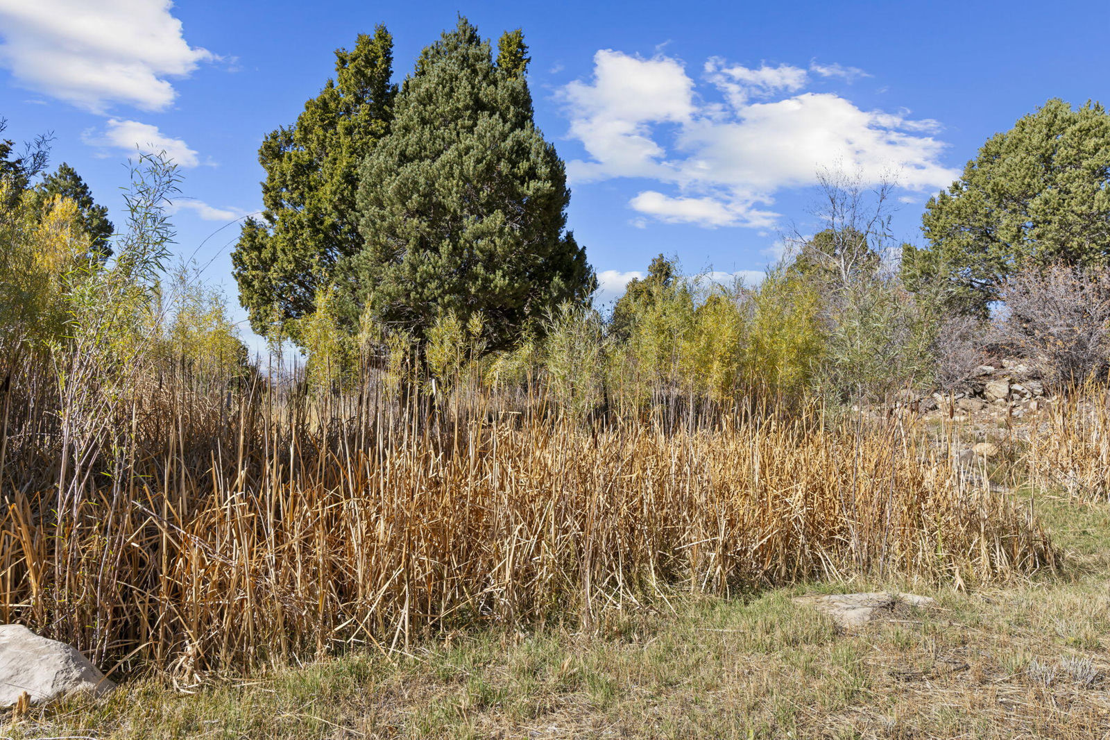 934 E Cedar Highlands DR, Cedar City, photo 53 of 76