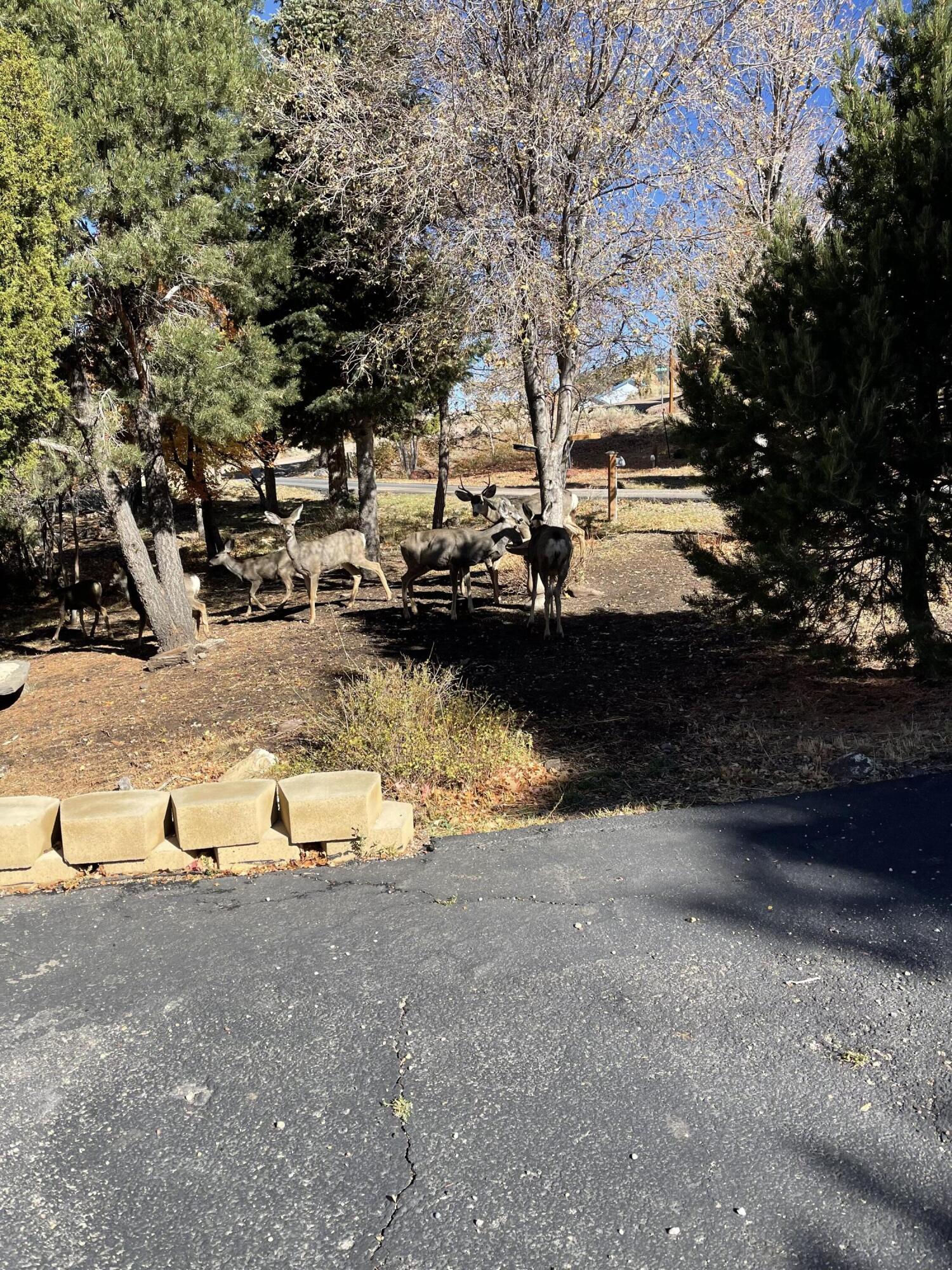 934 E Cedar Highlands DR, Cedar City, photo 76 of 76