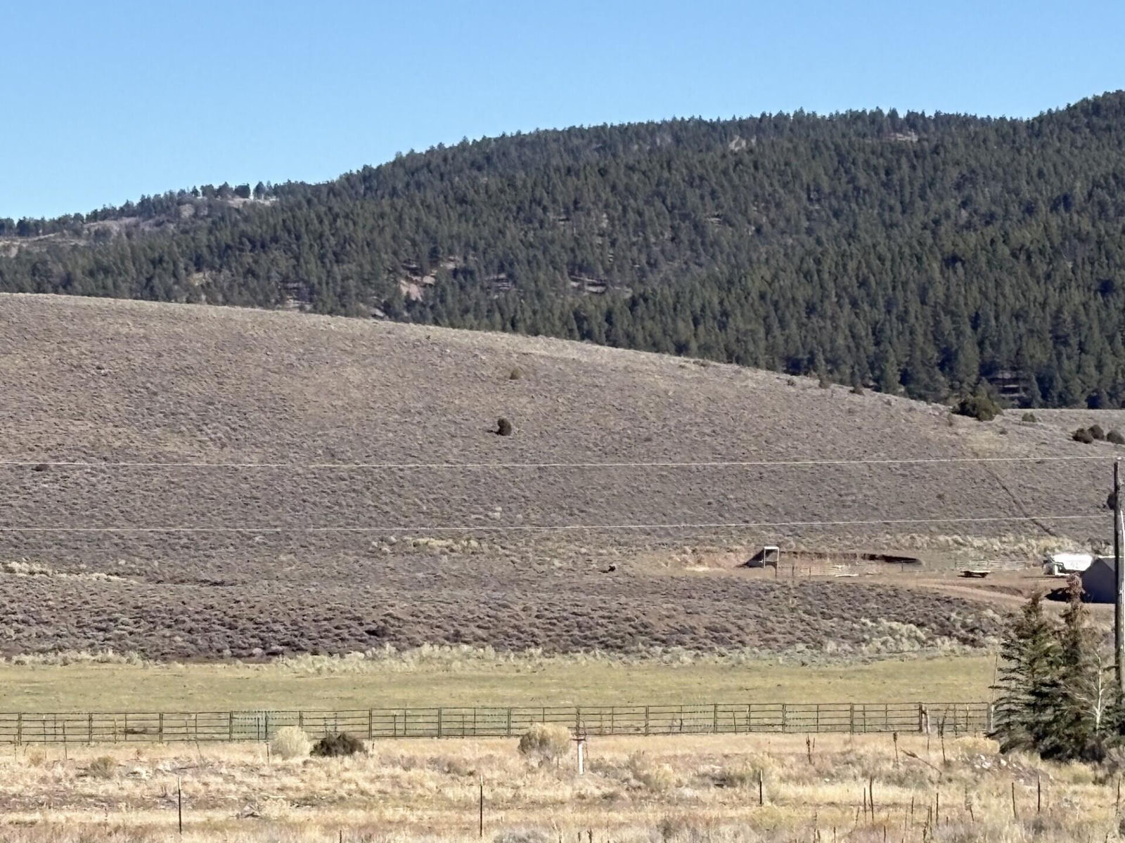 1325 E Elk Herd RD, Panguitch Lake, photo 9 of 13