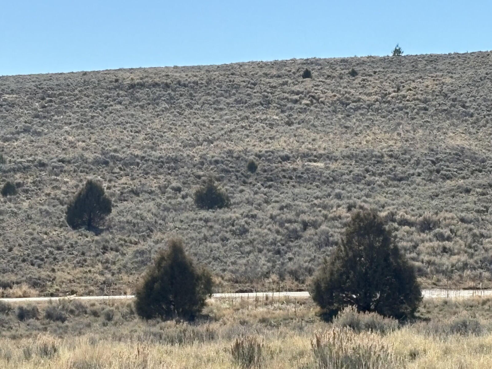 1325 E Elk Herd RD, Panguitch Lake, photo 10 of 13