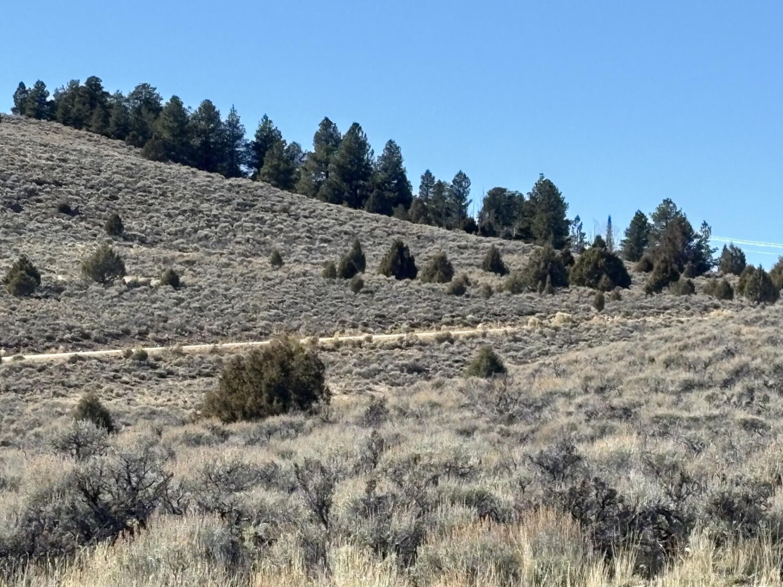 1325 E Elk Herd RD, Panguitch Lake, photo 12 of 13