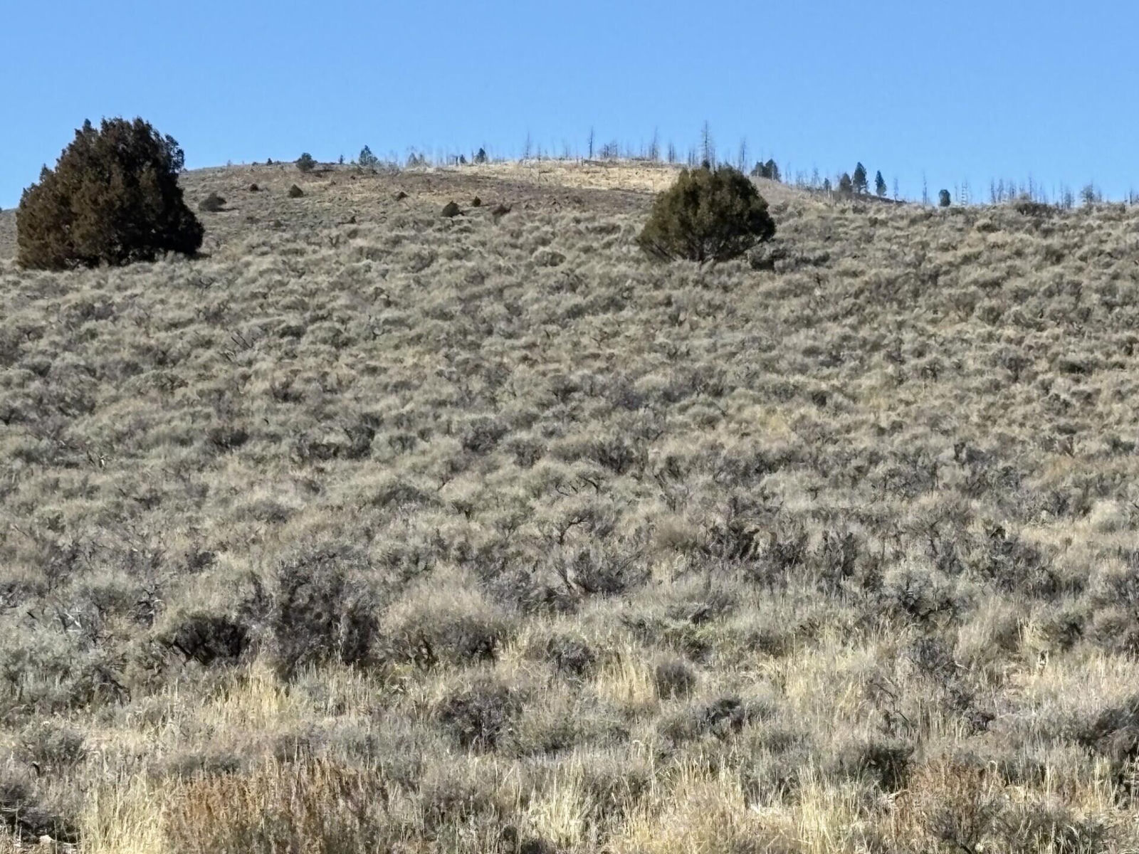 1325 E Elk Herd RD, Panguitch Lake, photo 13 of 13