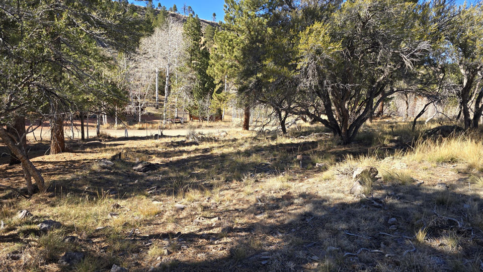 386 N Elk DR, Panguitch Lake, photo 2