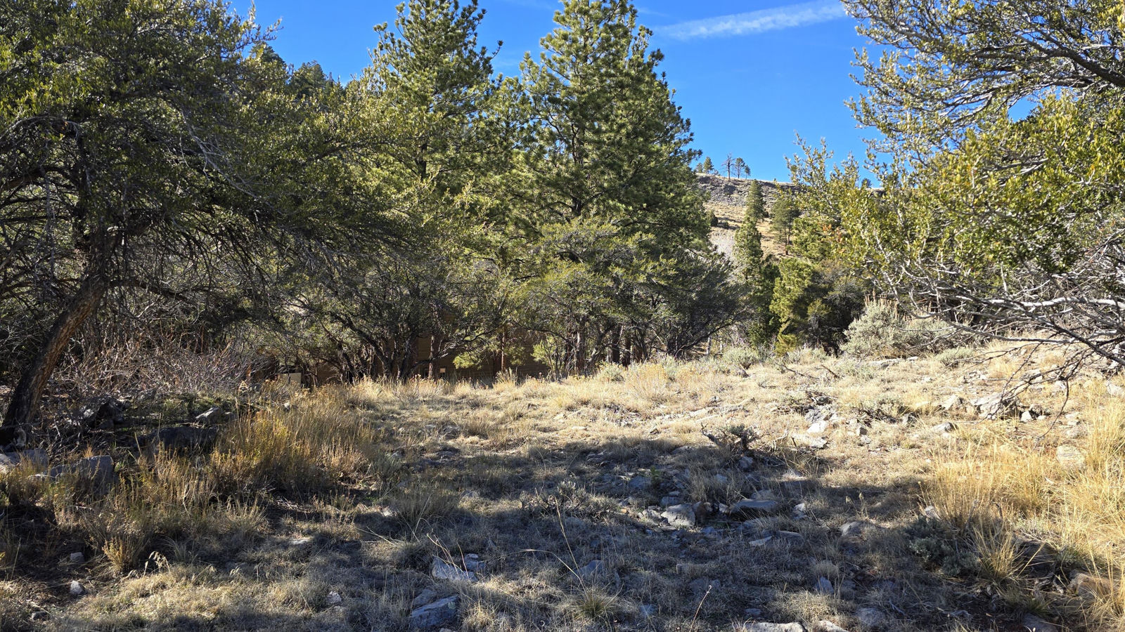 386 N Elk DR, Panguitch Lake, photo 6 of 11