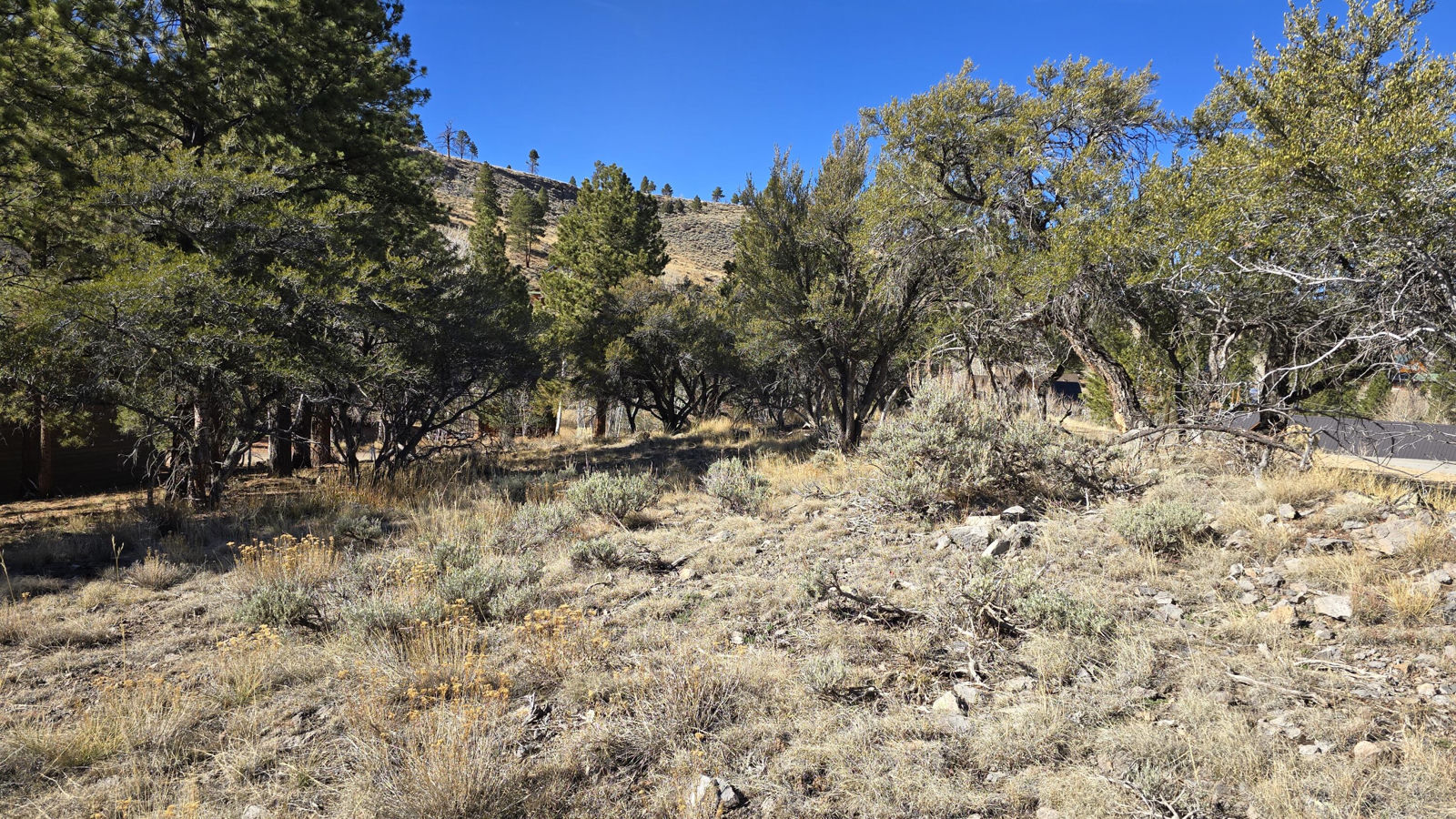 386 N Elk DR, Panguitch Lake, photo 7 of 11