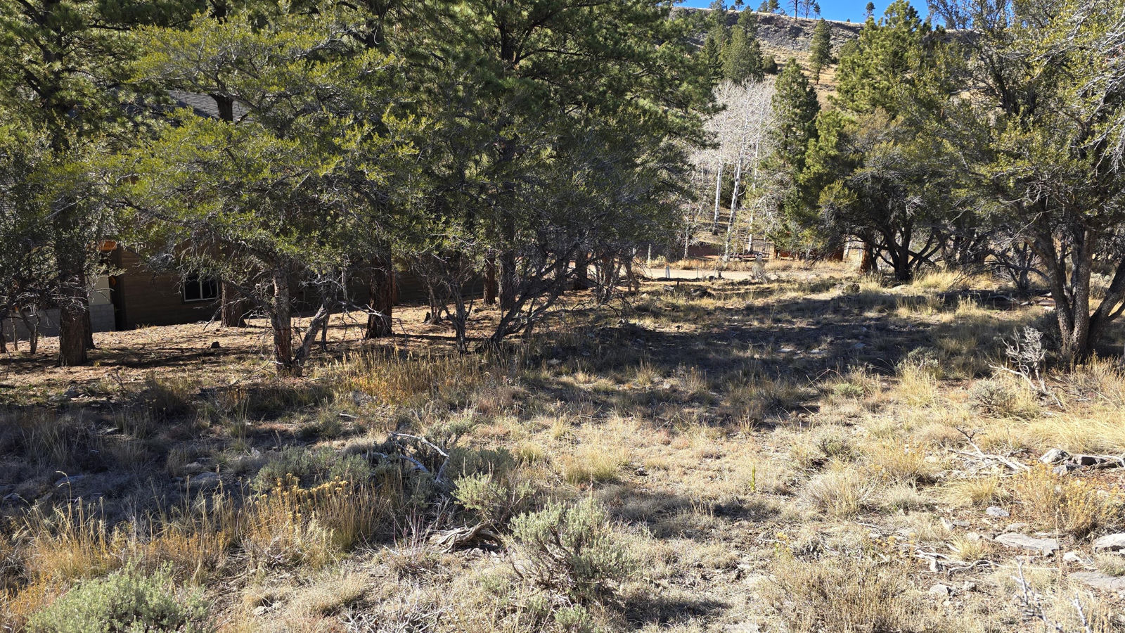 386 N Elk DR, Panguitch Lake, photo 9 of 11