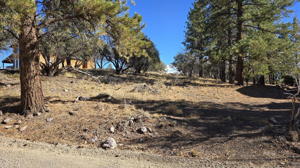 386 N Elk Drive DR, Panguitch Lake
