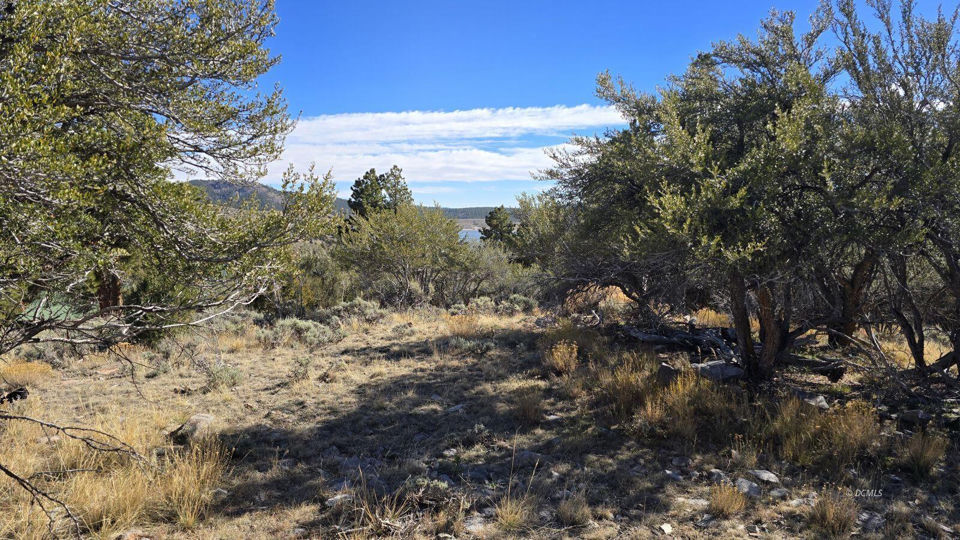 386 N Elk Drive DR, Panguitch Lake, photo 3