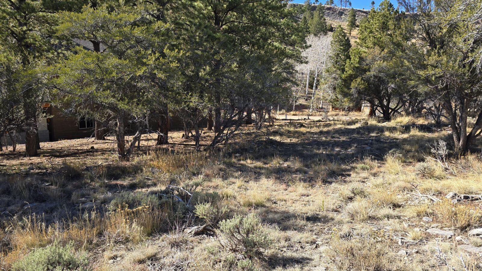 386 N Elk Drive DR, Panguitch Lake, photo 10 of 12