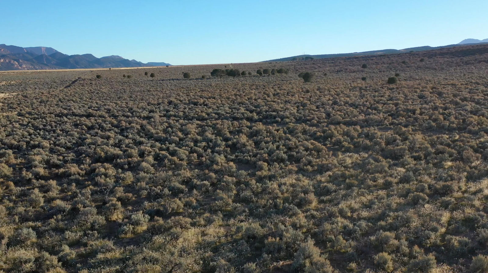 310 acres tax acct.#0153483, Hamilton Fort, photo 10 of 21