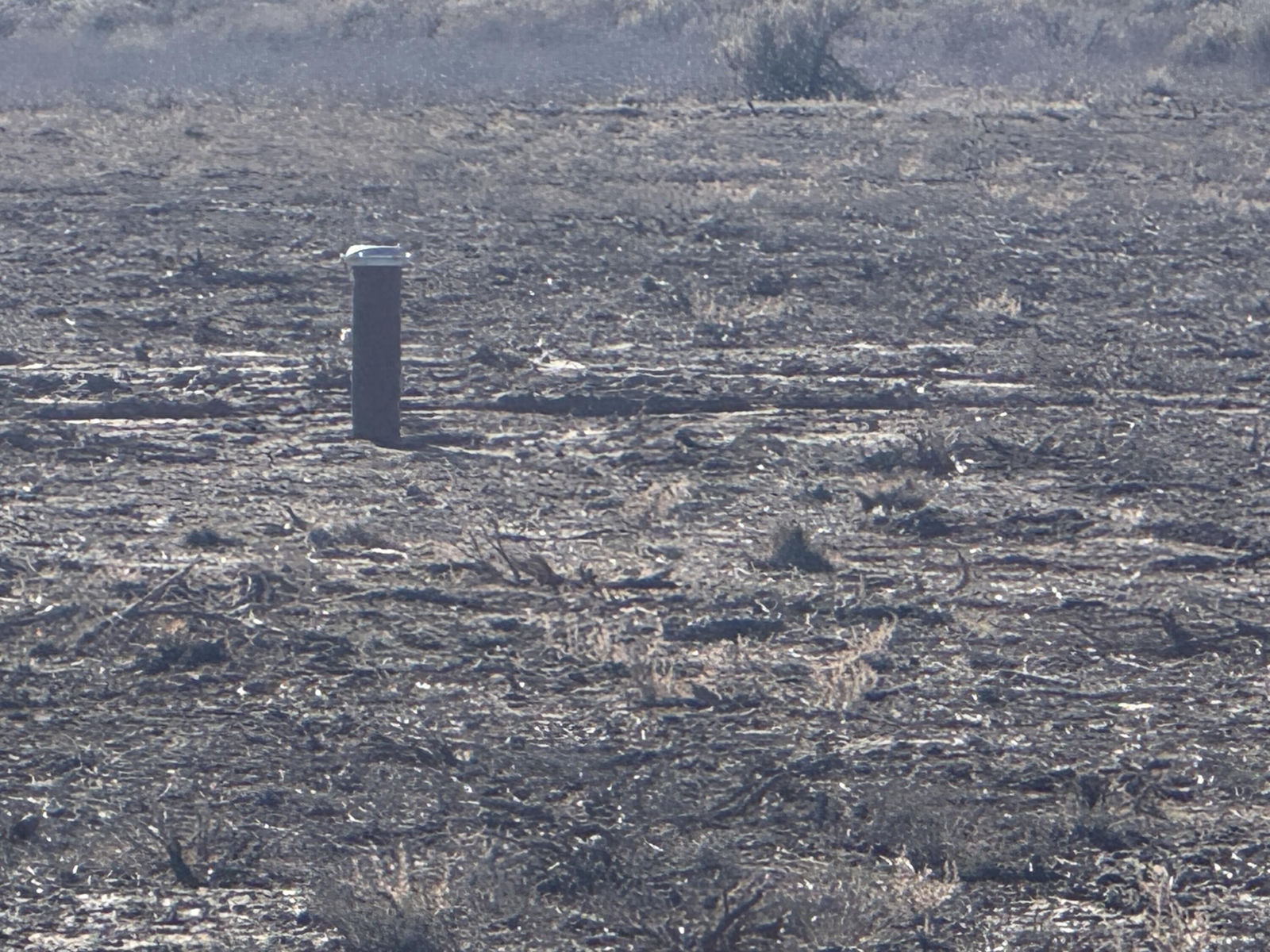 5.03acre w/ Well and Wtr Right, Newcastle, photo 12 of 18