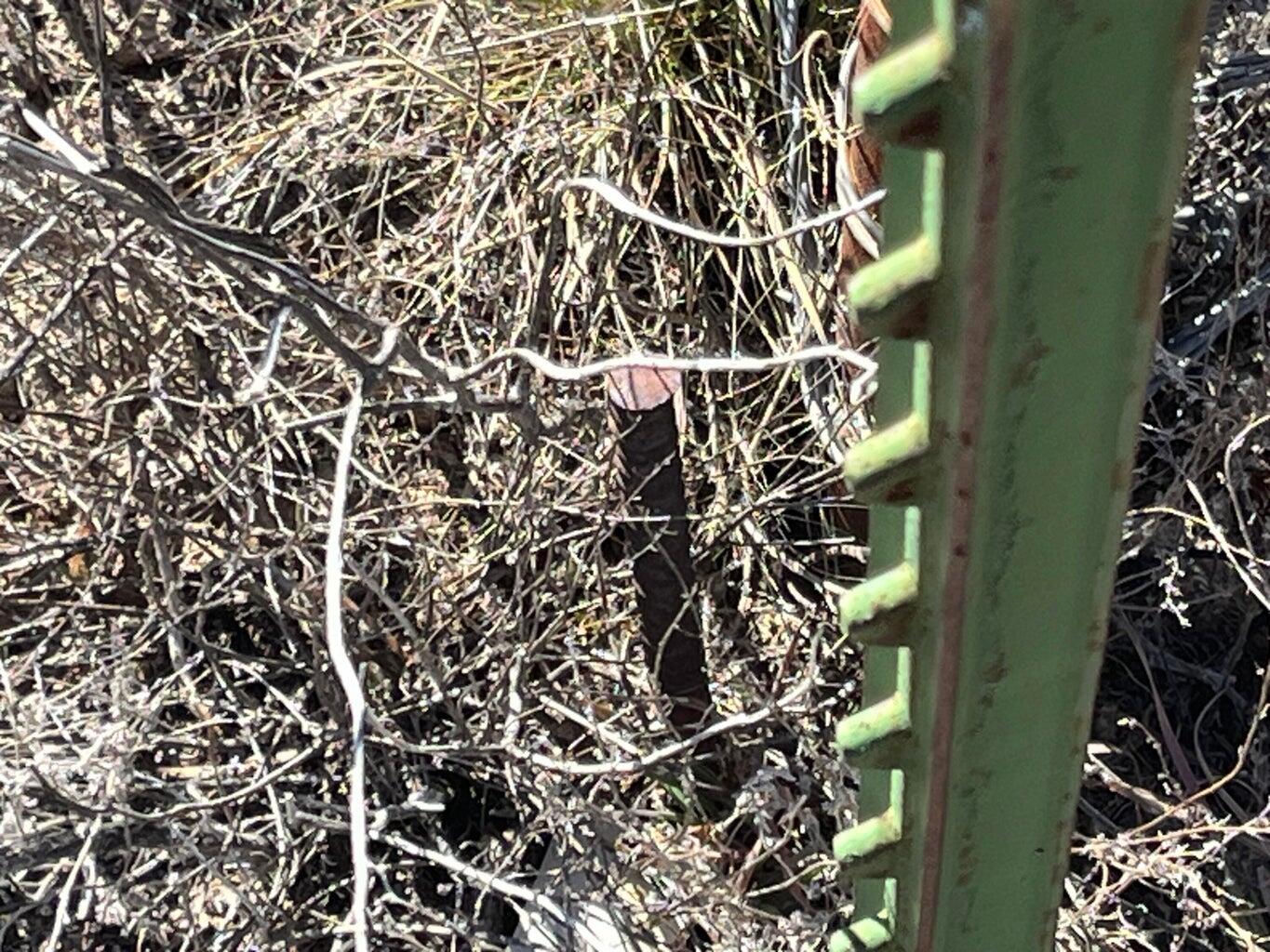 9.51 Ac with 0.5 AF of Water, Beryl, photo 4 of 27