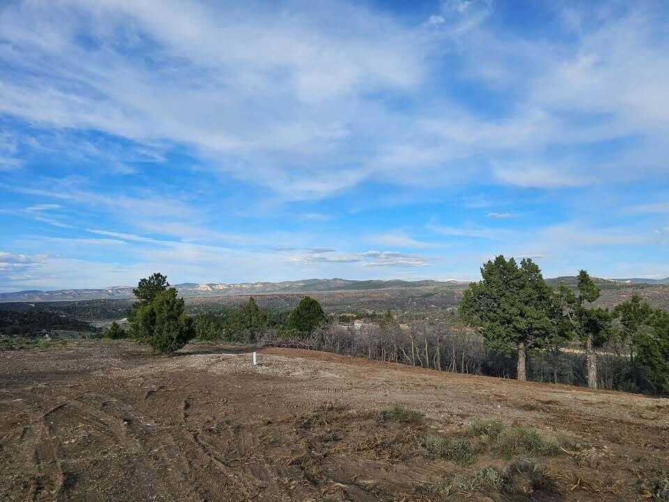 1830 W Silverado Ridge, Alton, photo 3