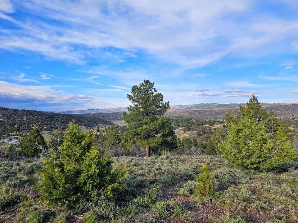 1830 W Silverado Ridge, Alton, photo 7 of 19
