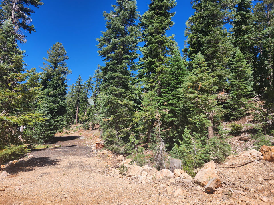 3160 Pinecrest DR, Duck Creek Village