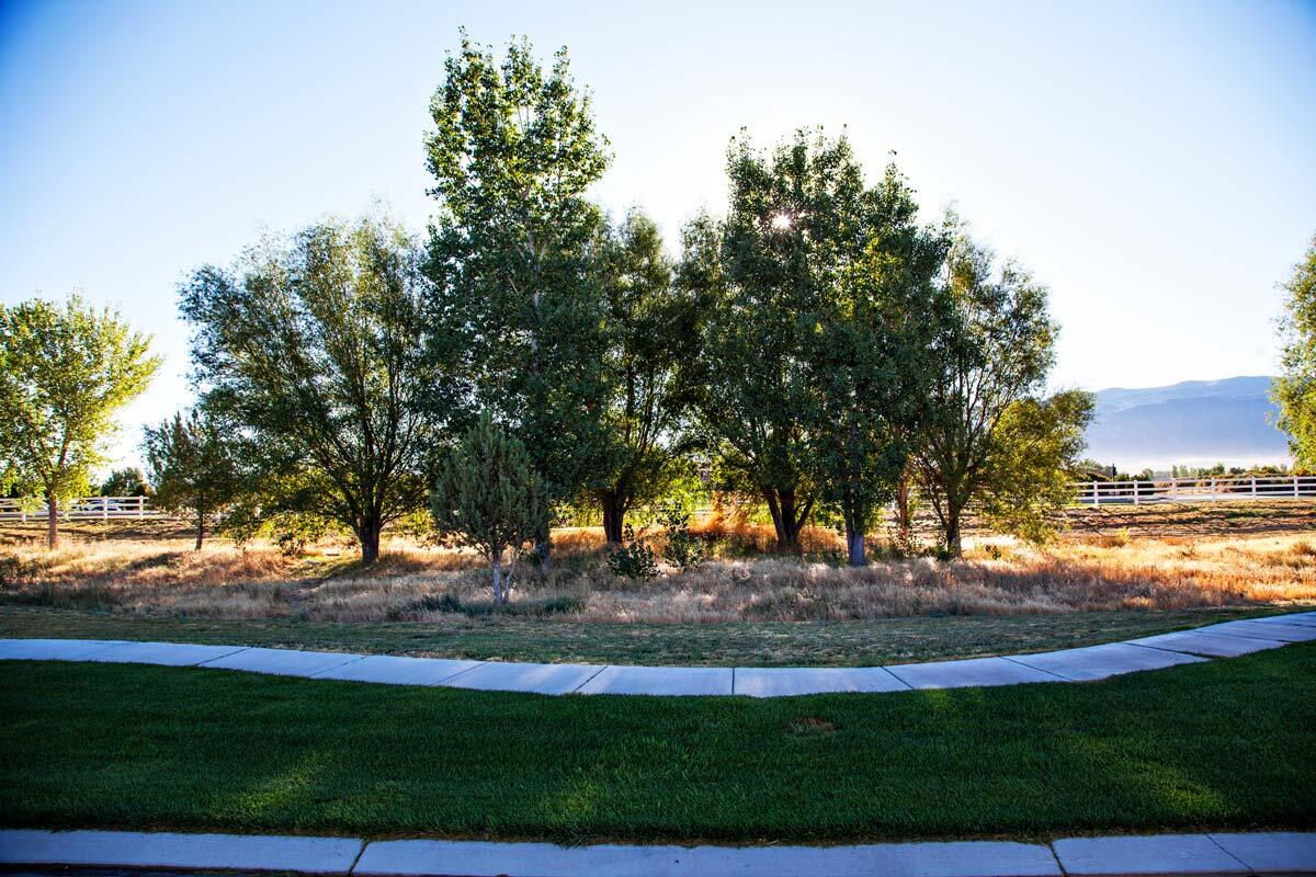 1860 W 4750 N, Cedar City, photo 6 of 38