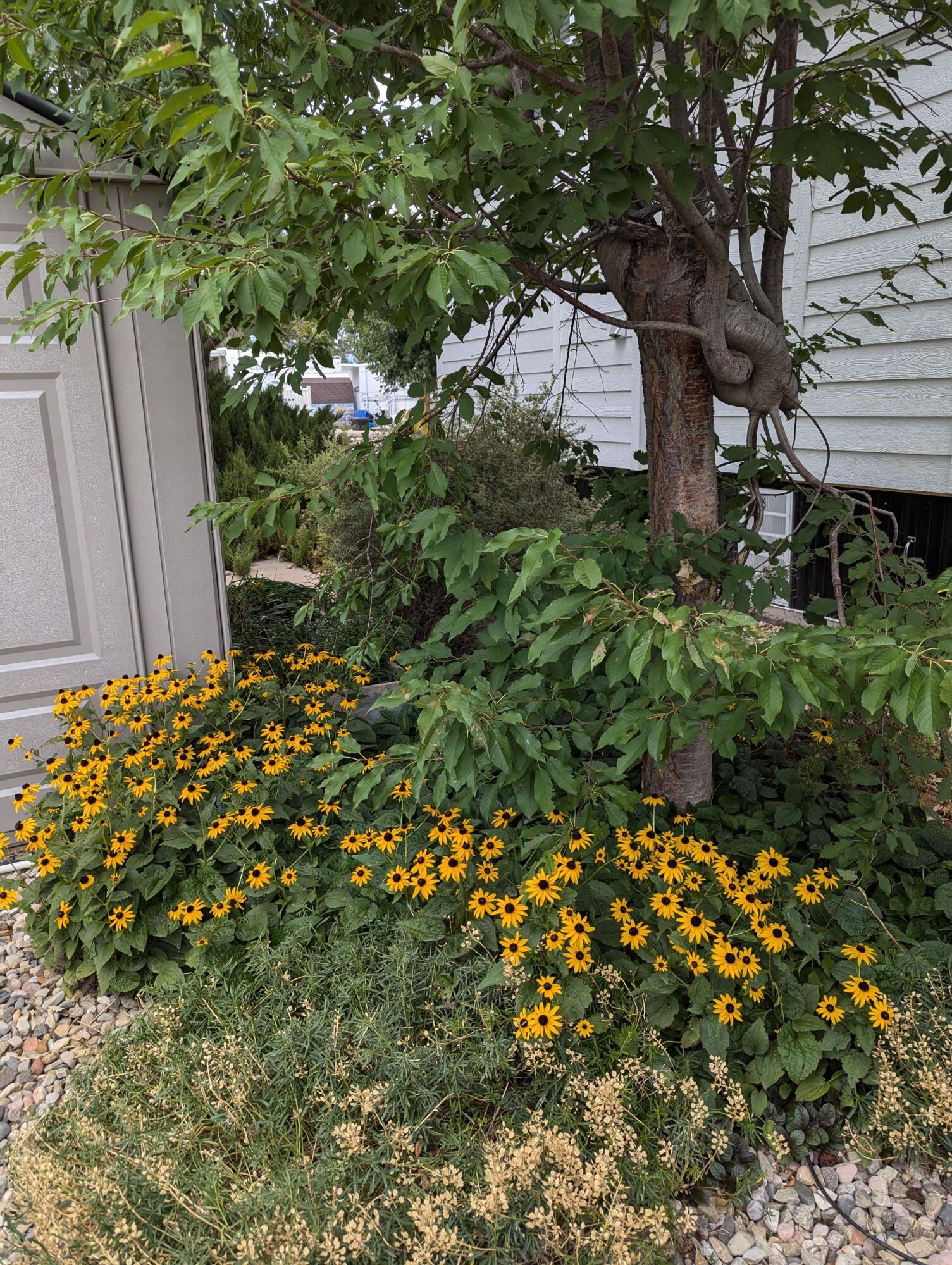 502 Rhonda, Parowan, photo 18 of 21