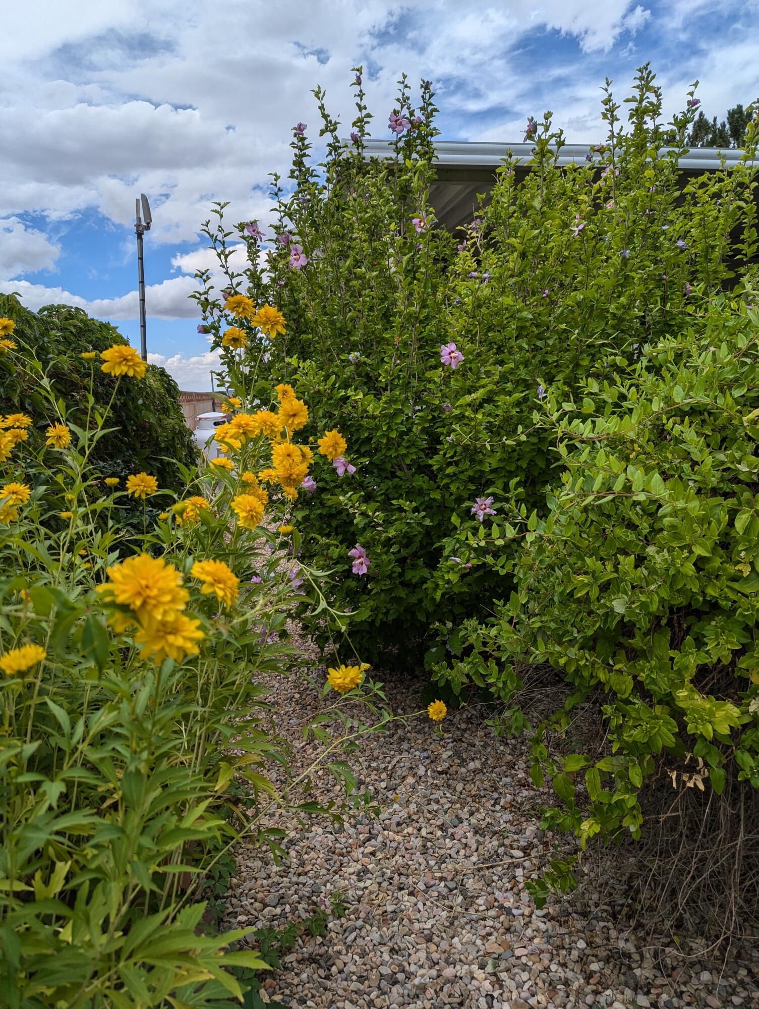 502 Rhonda, Parowan, photo 19 of 21