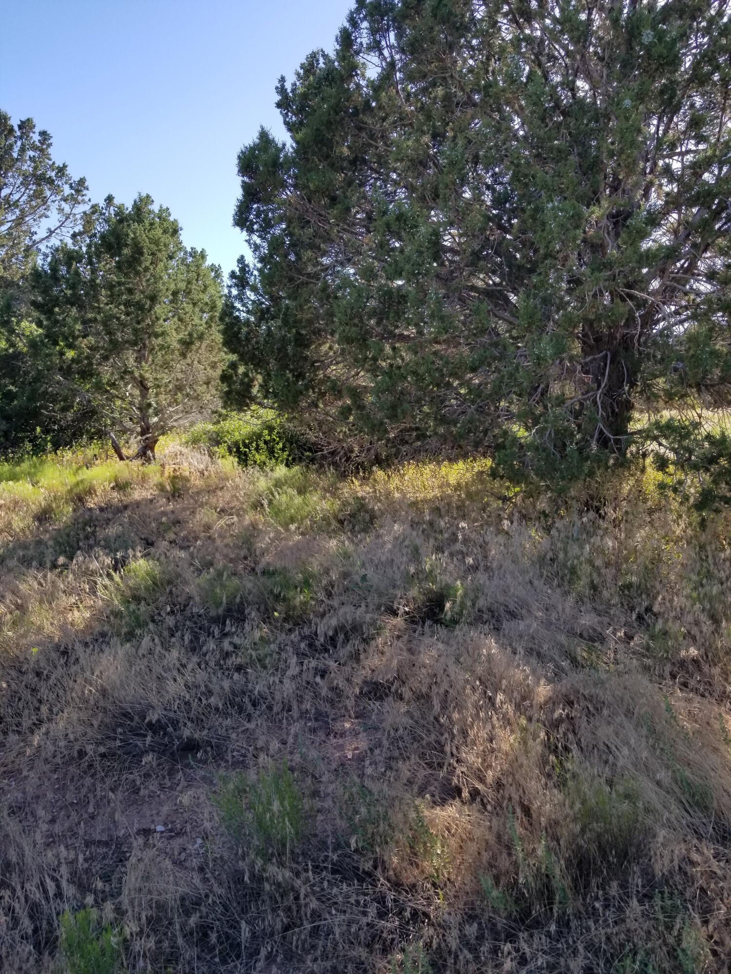 2835 E 2200 S, 74, New Harmony, photo 7 of 17